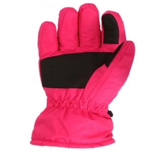 Ski Gloves